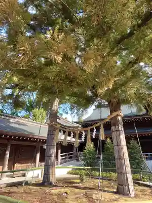 寒川神社(神奈川県)