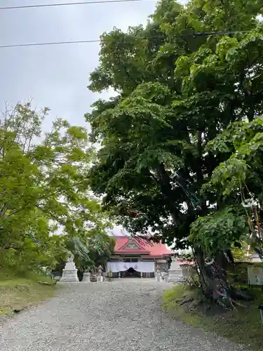 釧路一之宮 厳島神社の本殿