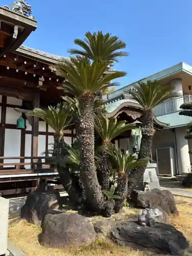 正覚寺(兵庫県)