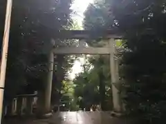 渋谷氷川神社の鳥居