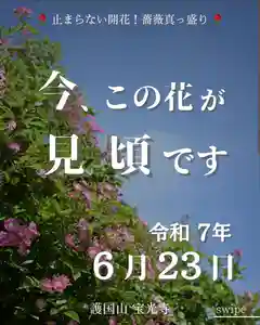 宝光寺(北海道)(2025年06月23日(月) 14時46分45秒投稿)