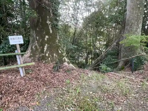 興敬寺の{uncategorized: "未分類", other: "その他", undefined: "問題あり", building: "その他建物", grave: "お墓", sacred_gate: "鳥居", guardian: "狛犬", statue: "像", buddha: "仏像", history: "歴史", nature: "自然", garden: "庭園", animal: "動物", pagoda: "塔", temizu: "手水舎", mountain_gate: "山門・神門", sanctuary: "本殿・本堂", subordinate: "末社・摂社", art: "芸術", scenery: "景色", jizo: "地蔵", ema: "絵馬", goshuin: "御朱印", omikuji: "おみくじ", items: "授与品その他", amulet: "お守り", goshuincho: "御朱印帳", eats: "食事", festival: "お祭り", votive_dance: "神楽", shichigosan: "七五三参", wedding: "結婚式", experience: "体験その他", initially: "初詣", around: "周辺", anti_infection: "感染症対策"}