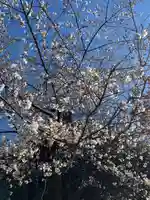 第六天神社(埼玉県)