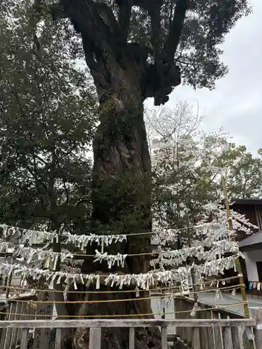 井伊谷宮(静岡県)