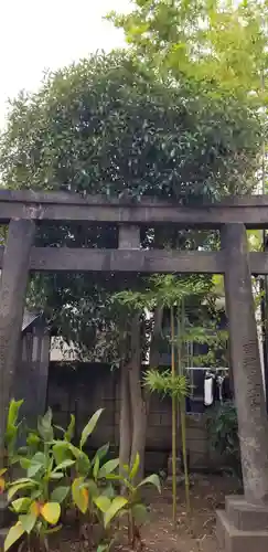 白髭神社の鳥居