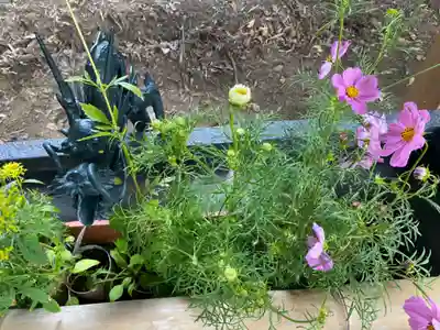 下野 星宮神社の手水舎