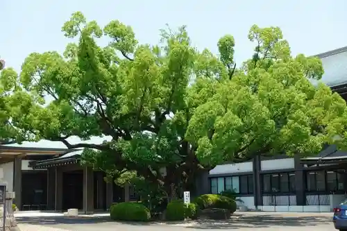 覚王山 日泰寺の庭園