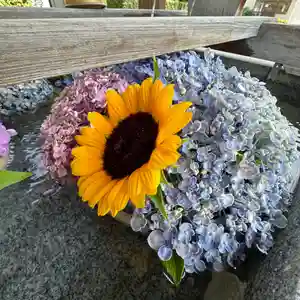 豊景神社(福島県)(2023年07月30日(日) 15時45分56秒投稿)