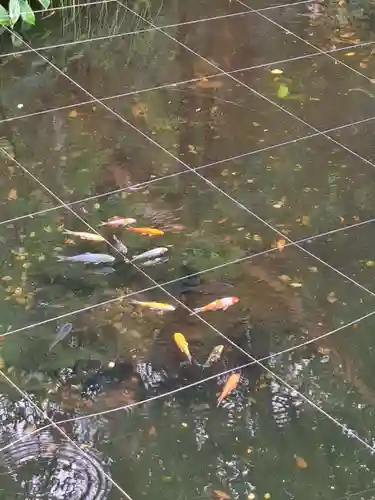 猿田彦神社(三重県)