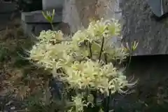 玉田神社(京都府)