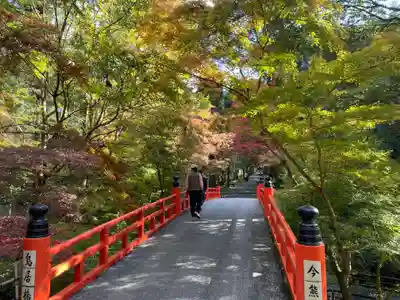 今熊野観音寺(京都府)