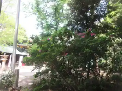渋谷氷川神社(東京都)