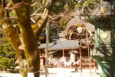 今宮神社(京都府)