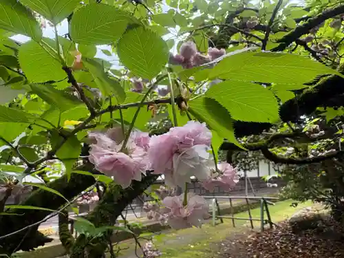 瑞龍寺(富山県)