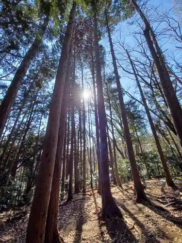 高尾山薬王院の自然