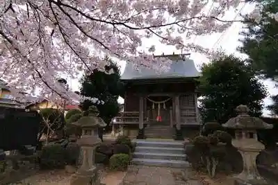 中野稲荷神社の本殿