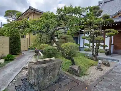 正覚院の手水舎