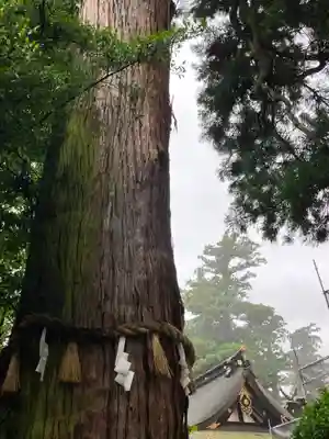 香取神宮(千葉県)