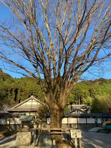 慈廣寺の本殿・本堂