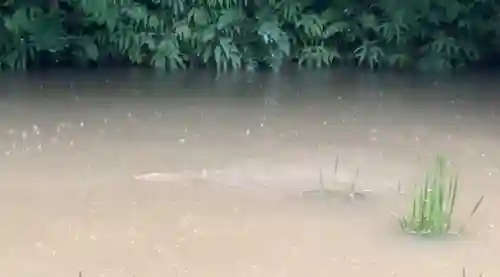 破磐神社(兵庫県)