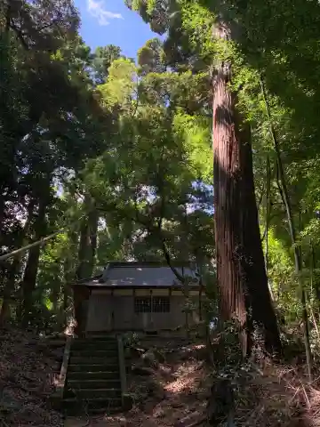 諏訪神社(千葉県)