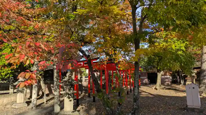 豊国神社(京都府)