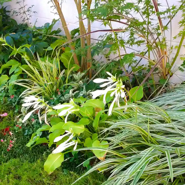 寿量山 速成寺の自然