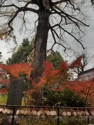 七社神社(東京都)