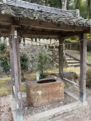 オオハラオオトシジンジャ(兵庫県)