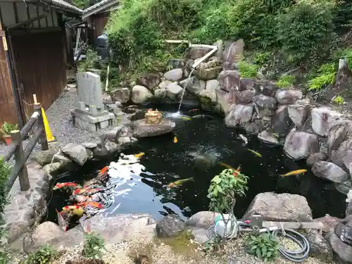 大野神社(滋賀県)