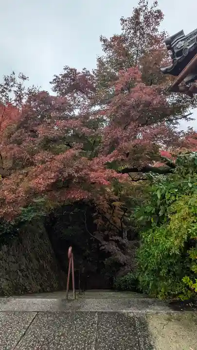 観音寺(山崎聖天)(京都府)