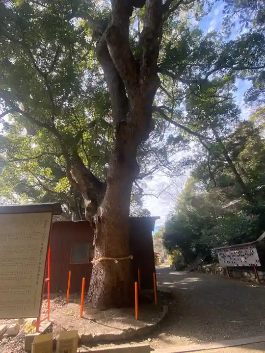 宮原神社の自然