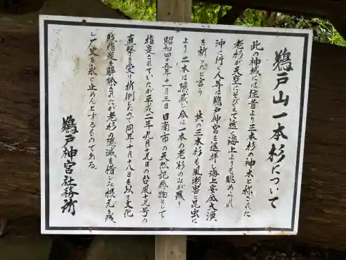 鵜戸神宮(宮崎県)