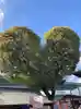 みきねえ