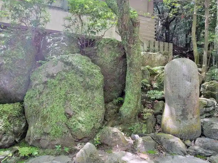 多度大社の自然