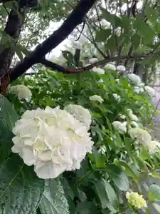 国上寺(新潟県)(2025年06月23日(月) 13時58分37秒投稿)