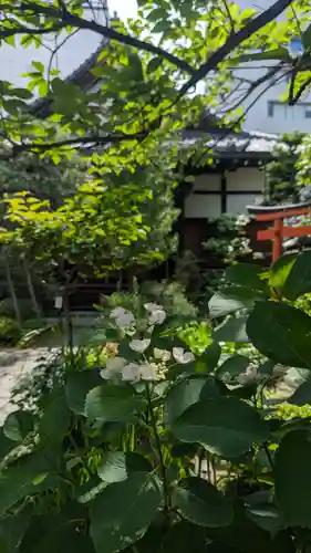宝蔵寺(京都府)