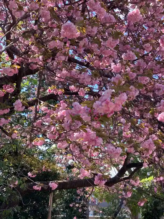 東陽寺(千葉県)