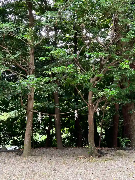 篠畑神社(奈良県)