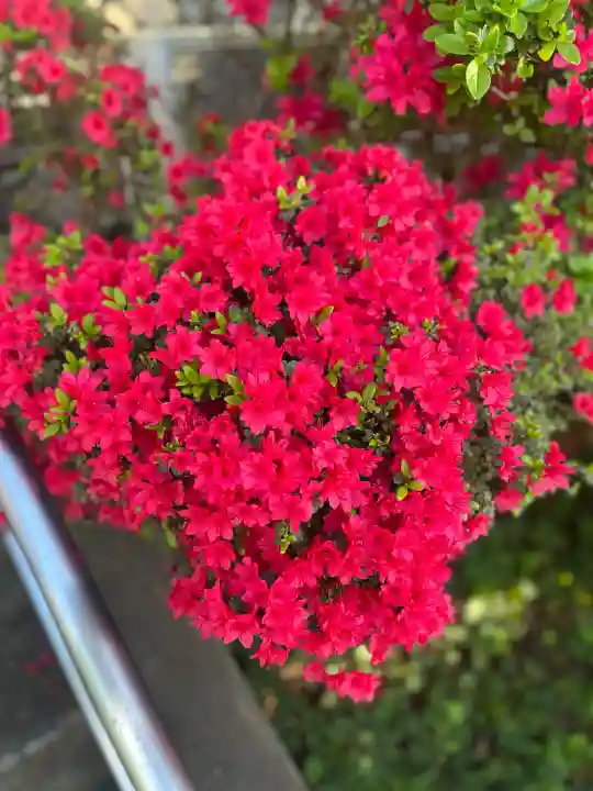 蟻通神社の{uncategorized: "未分類", other: "その他", undefined: "問題あり", building: "その他建物", grave: "お墓", sacred_gate: "鳥居", guardian: "狛犬", statue: "像", buddha: "仏像", history: "歴史", nature: "自然", garden: "庭園", animal: "動物", pagoda: "塔", temizu: "手水舎", mountain_gate: "山門・神門", sanctuary: "本殿・本堂", subordinate: "末社・摂社", art: "芸術", scenery: "景色", jizo: "地蔵", ema: "絵馬", goshuin: "御朱印", omikuji: "おみくじ", items: "授与品その他", amulet: "お守り", goshuincho: "御朱印帳", eats: "食事", festival: "お祭り", votive_dance: "神楽", shichigosan: "七五三参", wedding: "結婚式", experience: "体験その他", initially: "初詣", around: "周辺", anti_infection: "感染症対策"}