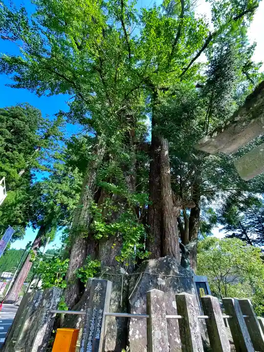 小国両神社の自然