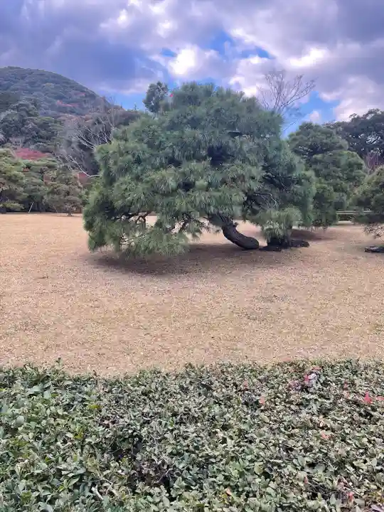 伊勢神宮内宮(皇大神宮)(三重県)
