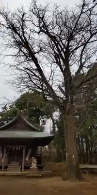 東田原神社のその他建物