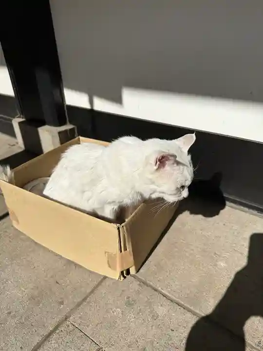 愛宕神社(東京都)