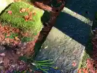 大寧寺(山口県)