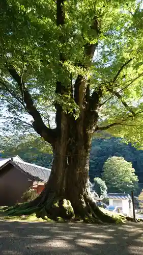 石部神社のその他建物