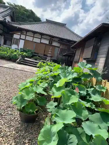 海岸寺(愛知県)