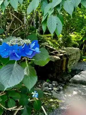 龍安寺(京都府)