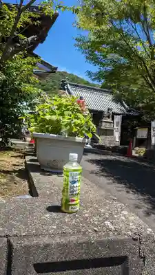 國分八幡宮(香川県)