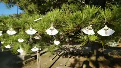 智恩寺(京都府)